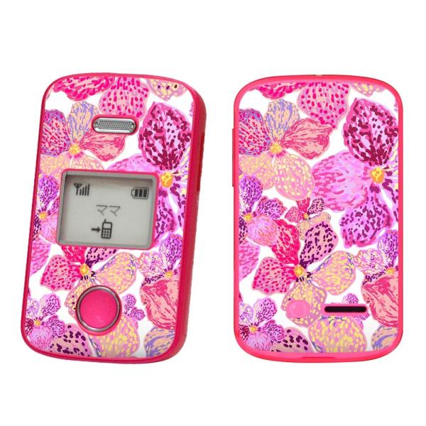 igsticker ݂܂P[^C2 101Z pXLV[ SoftBank \tgoN ZTE p  ԁ@ԕ@sN 012607