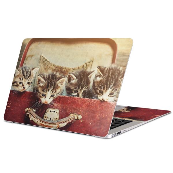 MacBook Air13inch(2010?2017)pXLV[ }bNubN 13C`  ʐ^@L@lR@Jo@ 008717