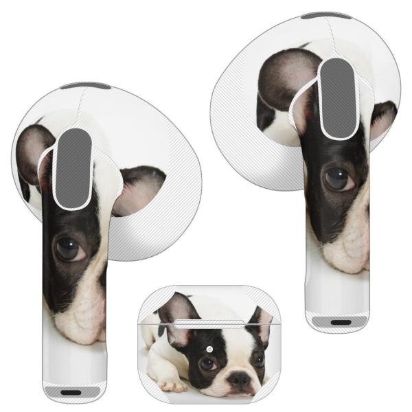 AirPods R p fUCXLV[ airpods 3 p GA|bh 3 p 2021 Cz Jo[  @t`uhbN 000889