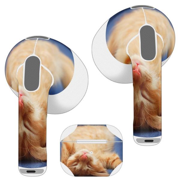 AirPods R p fUCXLV[ airpods 3 p GA|bh 3 p 2021 Cz Jo[  L@@ʐ^ 002759