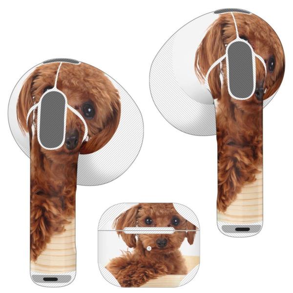 AirPods R p fUCXLV[ airpods 3 p GA|bh 3 p 2021 Cz Jo[  @@ʐ^ 002769