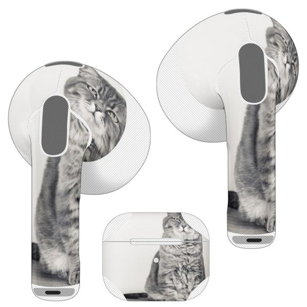 AirPods R p fUCXLV[ airpods 3 p GA|bh 3 p 2021 Cz Jo[  L@@ʐ^ 002901