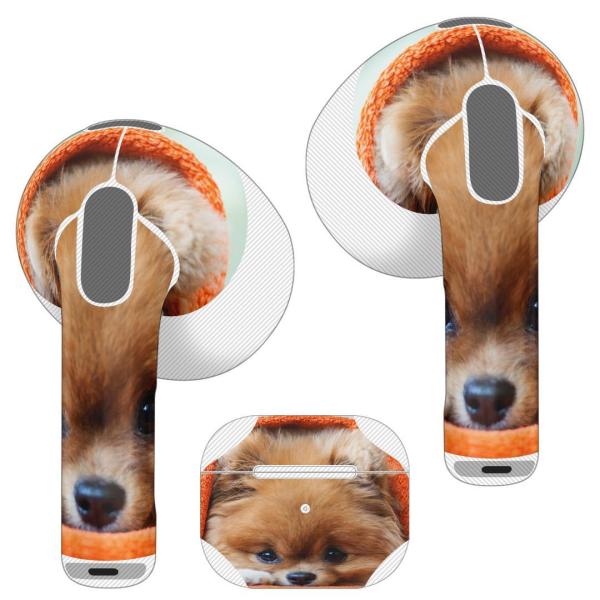 AirPods R p fUCXLV[ airpods 3 p GA|bh 3 p 2021 Cz Jo[  @ʐ^@IW 008644