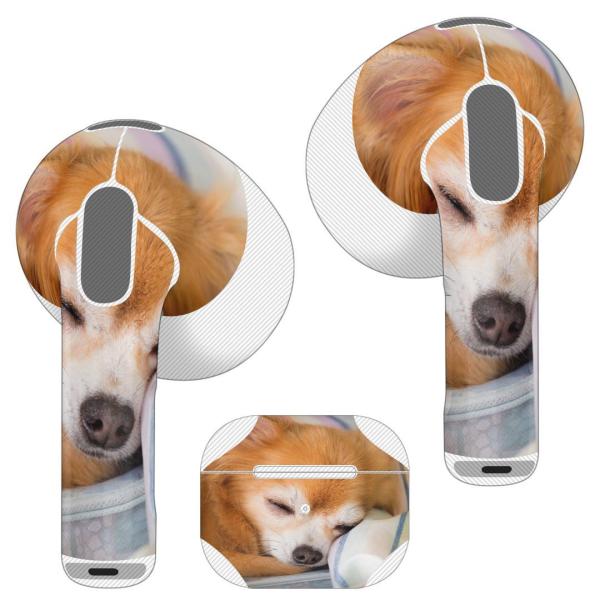 AirPods R p fUCXLV[ airpods 3 p GA|bh 3 p 2021 Cz Jo[  @`@ʐ^ 014826