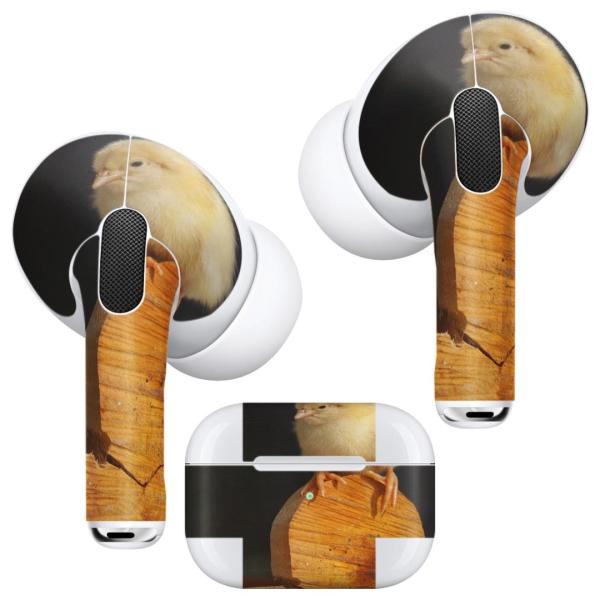 Air Pods Pro p fUCXLV[ Ή airpodspro GA|bhv apple Abv CtH Cz  qR@n[g 001101