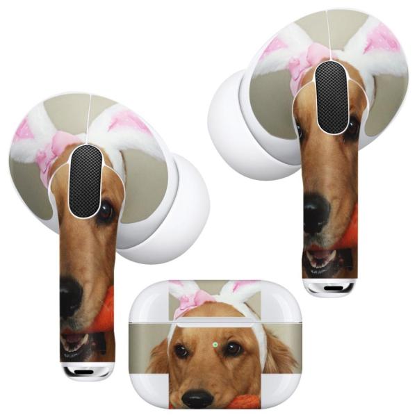 Air Pods Pro p fUCXLV[ Ή airpodspro GA|bhv apple Abv CtH Cz  @S[f@ 001111