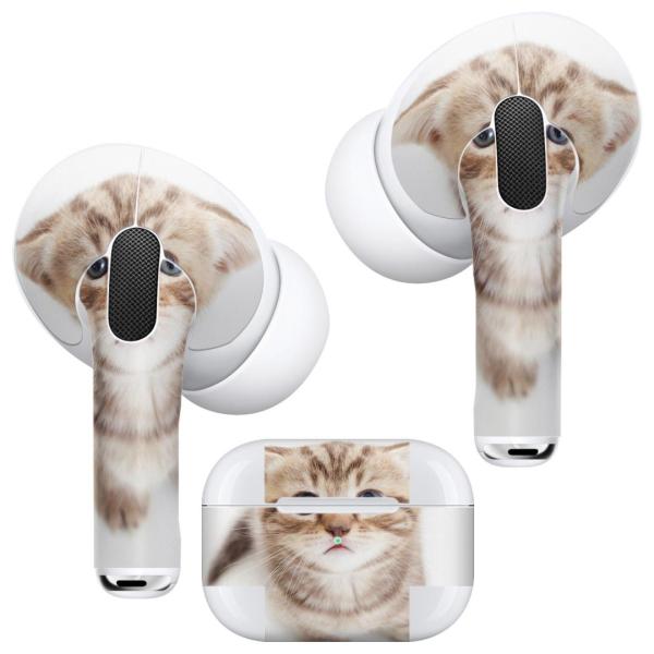 Air Pods Pro p fUCXLV[ Ή airpodspro GA|bhv apple Abv CtH Cz  lR@ 001194