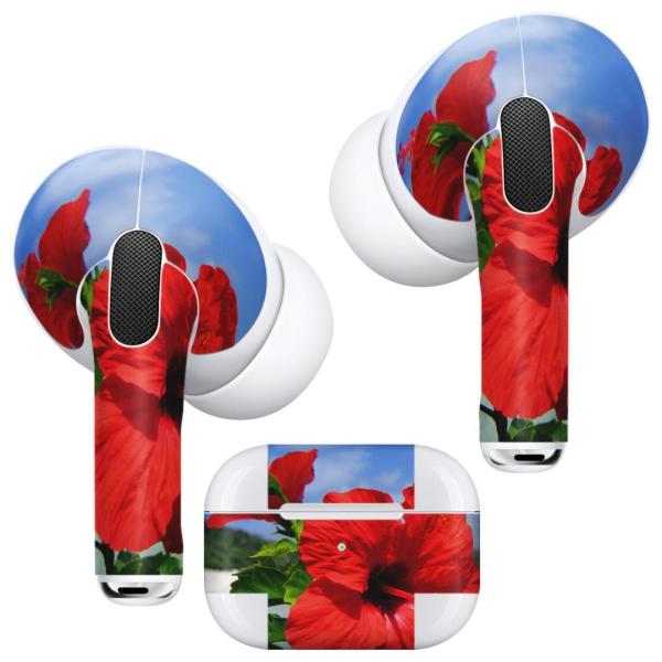 Air Pods Pro ��p �f�U�C���X�L���V�[�� �Ή� airpodspro �G�A�|�b�h�v�� apple �A�b�v�� �C���t�H�� �C���z��  �n�C�r�X�J�X�@�� 001577