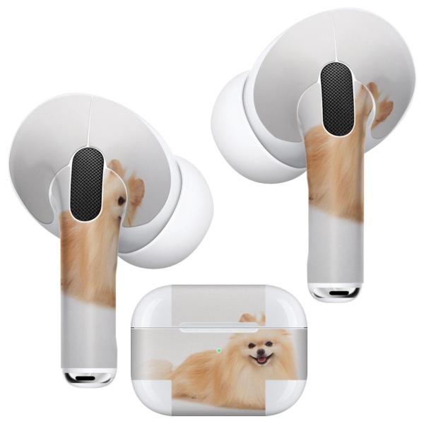Air Pods Pro p fUCXLV[ Ή airpodspro GA|bhv apple Abv CtH Cz  @@ʐ^ 002911