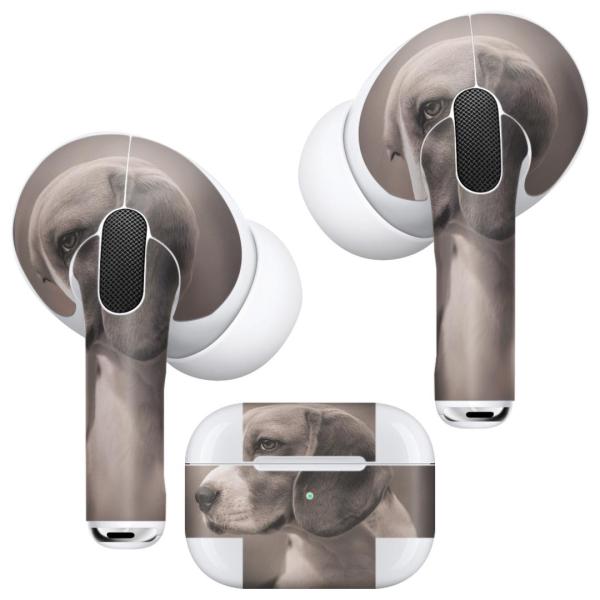 Air Pods Pro p fUCXLV[ Ή airpodspro GA|bhv apple Abv CtH Cz  @ʐ^@ZsA 011976
