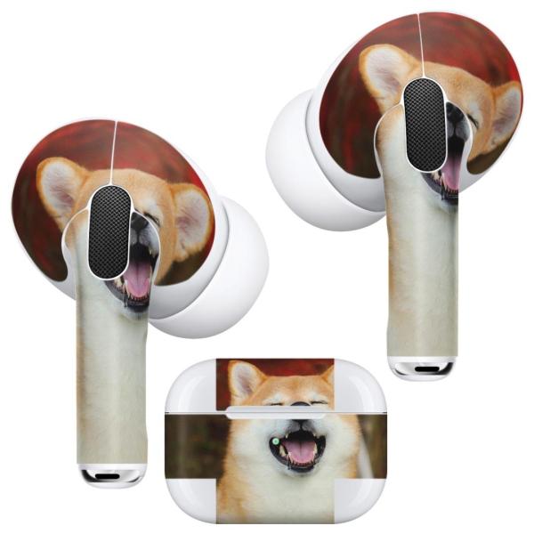 Air Pods Pro p fUCXLV[ Ή airpodspro GA|bhv apple Abv CtH Cz  @킢@Č 015611