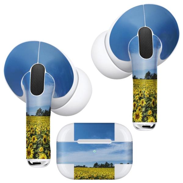 Air Pods Pro ��p �f�U�C���X�L���V�[�� �Ή� airpodspro �G�A�|�b�h�v�� apple �A�b�v�� �C���t�H�� �C���z��  �Ђ܂��@�ԁ@�i�F�@�ʐ^ 015740