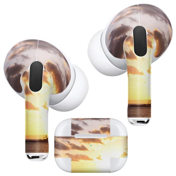 Air Pods Pro ��p �f�U�C���X�L���V�[�� �Ή� airpodspro �G�A�|�b�h�v�� apple �A�b�v�� �C���t�H�� �C���z��  ��@���i�@�ʐ^ 016296