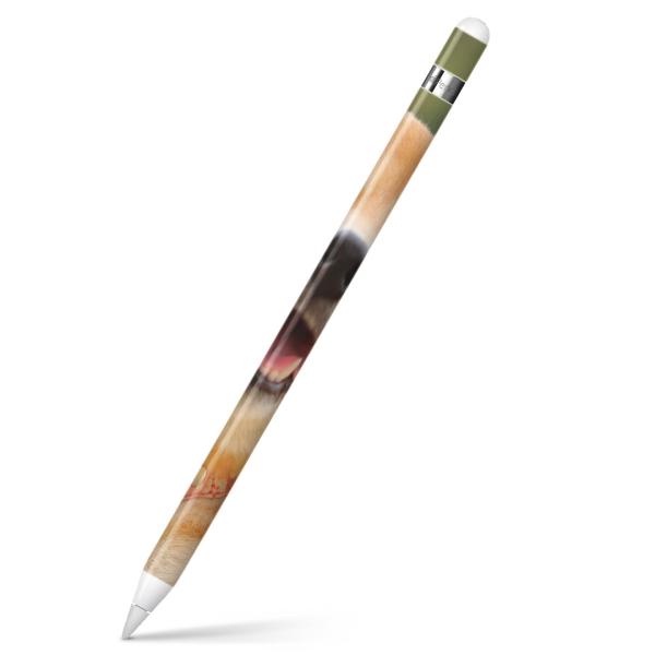 Apple Pencil pXLV[ AbvyV iPad Pro ApplePen Jo[ tB XebJ[ ی  @Č 000926