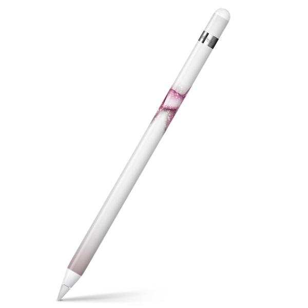 Apple Pencil pXLV[ AbvyV iPad Pro ApplePen Jo[ tB XebJ[ ی  { 001632
