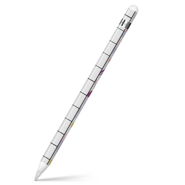 Apple Pencil ��p�X�L���V�[�� �A�b�v���y���V�� iPad Pro ApplePen �J�o�[ �t�B���� �X�e�b�J�[ �ی�  ���y�@�s�A�m�@�J���t�� 002563