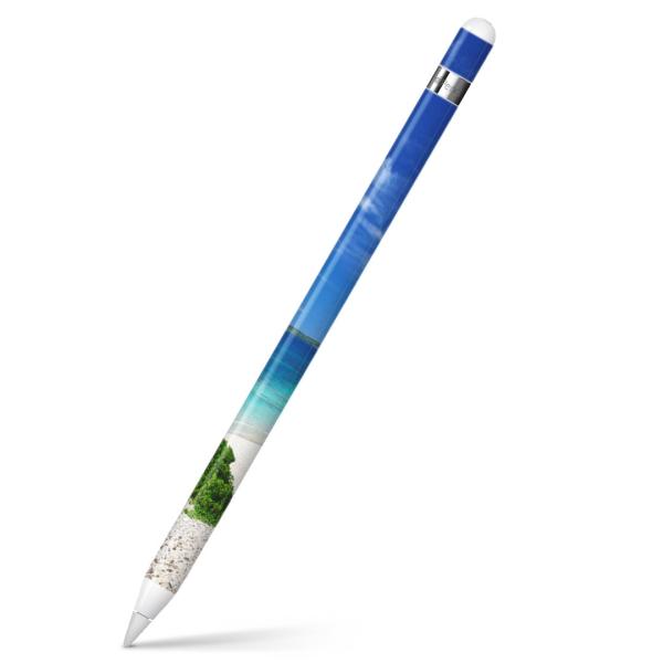 Apple Pencil pXLV[ AbvyV iPad Pro ApplePen Jo[ tB XebJ[ ی  ā@C@ʐ^ 002777