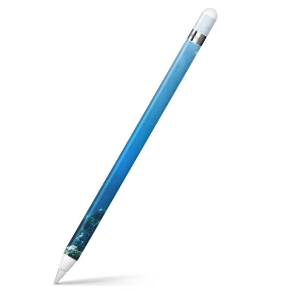 Apple Pencil pXLV[ AbvyV iPad Pro ApplePen Jo[ tB XebJ[ ی  C@ʐ^ 002834