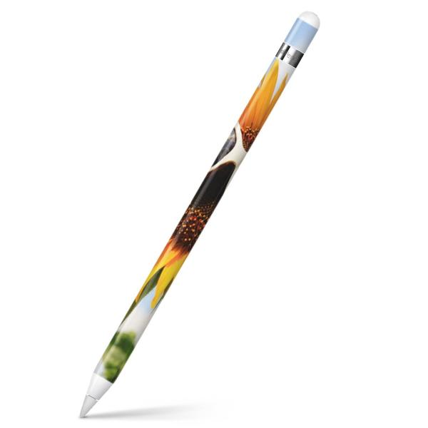 Apple Pencil pXLV[ AbvyV iPad Pro ApplePen Jo[ tB XebJ[ ی  Ђ܂@@ʐ^ 003152