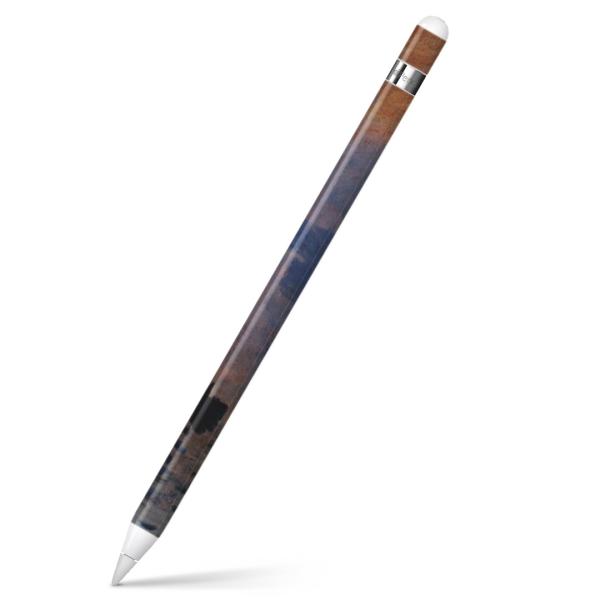 Apple Pencil pXLV[ AbvyV iPad Pro ApplePen Jo[ tB XebJ[ ی  i@iF@G@CXg 003231