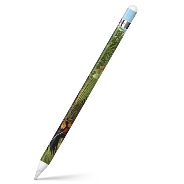 Apple Pencil ��p�X�L���V�[�� �A�b�v���y���V�� iPad Pro ApplePen �J�o�[ �t�B���� �X�e�b�J�[ �ی�  �����@�G��@�C���X�g 003244