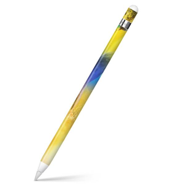 Apple Pencil pXLV[ AbvyV iPad Pro ApplePen Jo[ tB XebJ[ ی  @CXg@Jt 003351