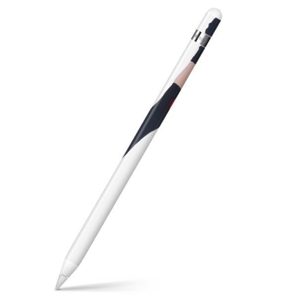 Apple Pencil pXLV[ AbvyV iPad Pro ApplePen Jo[ tB XebJ[ ی  l@{@ʐ^ 003378