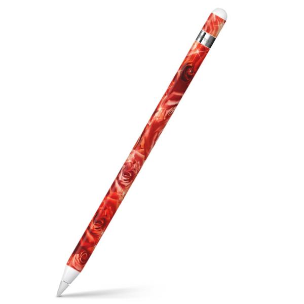 Apple Pencil pXLV[ AbvyV iPad Pro ApplePen Jo[ tB XebJ[ ی  KN@ԁ@ʐ^ 004966