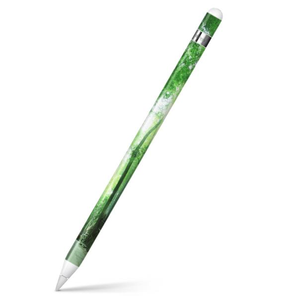 Apple Pencil pXLV[ AbvyV iPad Pro ApplePen Jo[ tB XebJ[ ی  iF@|с@ʐ^ 004996