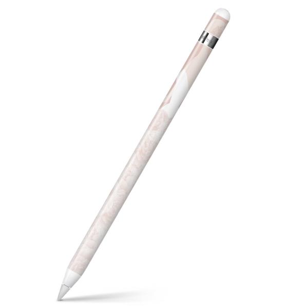 Apple Pencil pXLV[ AbvyV iPad Pro ApplePen Jo[ tB XebJ[ ی  EGfBO@ԉŁ@sN 005154