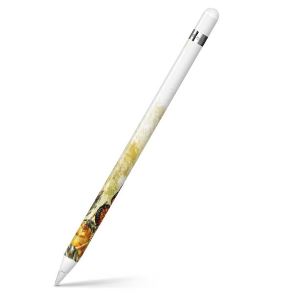Apple Pencil pXLV[ AbvyV iPad Pro ApplePen Jo[ tB XebJ[ ی  y@@CXg 005254