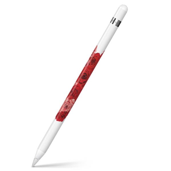 Apple Pencil pXLV[ AbvyV iPad Pro ApplePen Jo[ tB XebJ[ ی  n[g@t[@ 005389