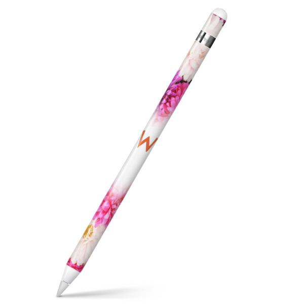 Apple Pencil pXLV[ AbvyV iPad Pro ApplePen Jo[ tB XebJ[ ی  ԁ@t[@ʐ^ 005521