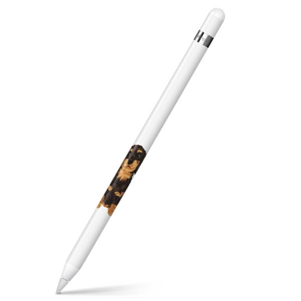 Apple Pencil pXLV[ AbvyV iPad Pro ApplePen Jo[ tB XebJ[ ی  @@CXg 005734
