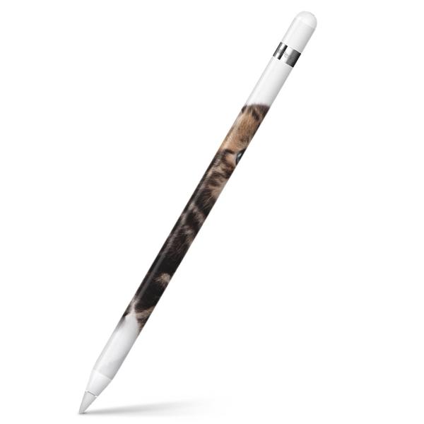 Apple Pencil pXLV[ AbvyV iPad Pro ApplePen Jo[ tB XebJ[ ی  ʐ^@@L@˂ 005930