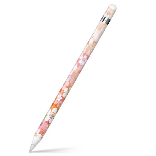 Apple Pencil pXLV[ AbvyV iPad Pro ApplePen Jo[ tB XebJ[ ی  a@a@ԁ@t[ 005976