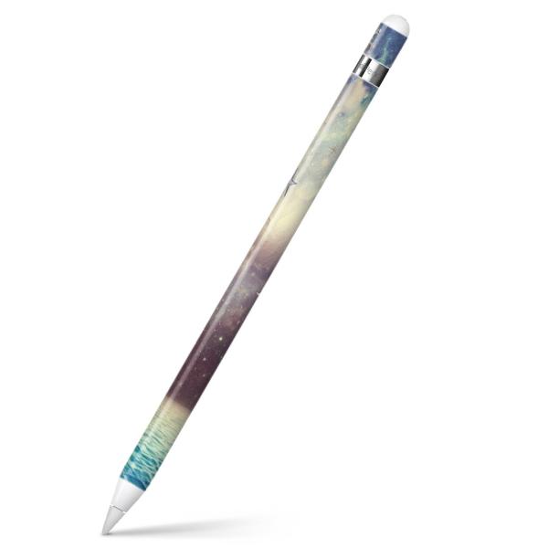 Apple Pencil pXLV[ AbvyV iPad Pro ApplePen Jo[ tB XebJ[ ی  @@CXg 006247