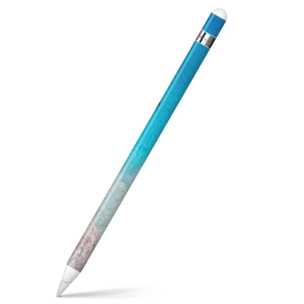 Apple Pencil pXLV[ AbvyV iPad Pro ApplePen Jo[ tB XebJ[ ی  ʐ^@C@{[g 006468