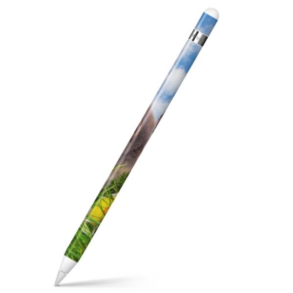 Apple Pencil pXLV[ AbvyV iPad Pro ApplePen Jo[ tB XebJ[ ی  ʐ^@@ 006581