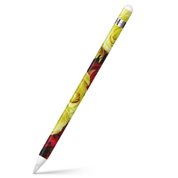 Apple Pencil pXLV[ AbvyV iPad Pro ApplePen Jo[ tB XebJ[ ی  ʐ^@ԁ@t[ 006849