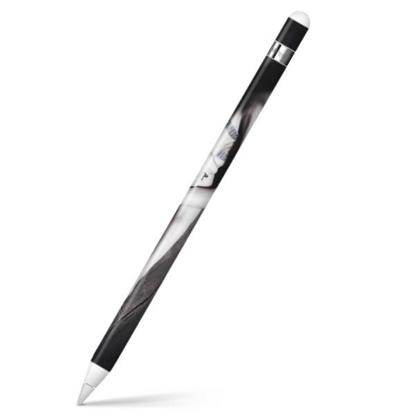 Apple Pencil pXLV[ AbvyV iPad Pro ApplePen Jo[ tB XebJ[ ی  ʐ^@l 006914