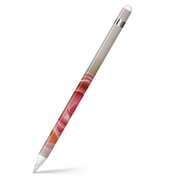 Apple Pencil pXLV[ AbvyV iPad Pro ApplePen Jo[ tB XebJ[ ی  ԁ@t[ 007217