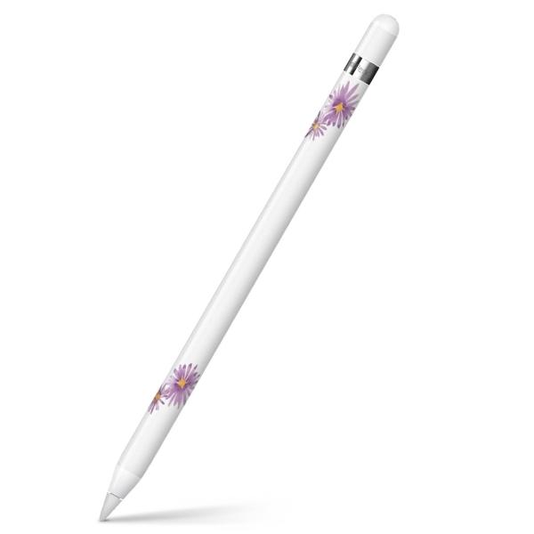 Apple Pencil pXLV[ AbvyV iPad Pro ApplePen Jo[ tB XebJ[ ی  ԁ@t[@ʁ@pXe 008154