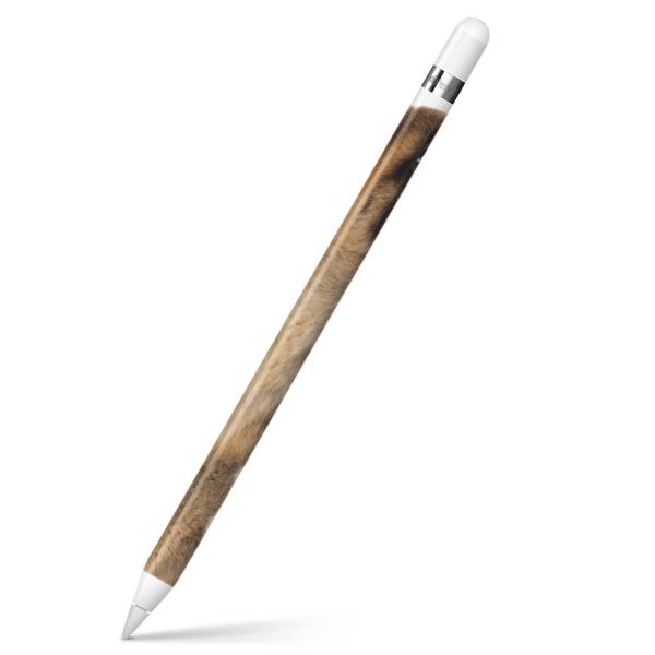 Apple Pencil ��p�X�L���V�[�� �A�b�v���y���V�� iPad Pro ApplePen �J�o�[ �t�B���� �X�e�b�J�[ �ی�  �ʐ^�@���@�L 008364