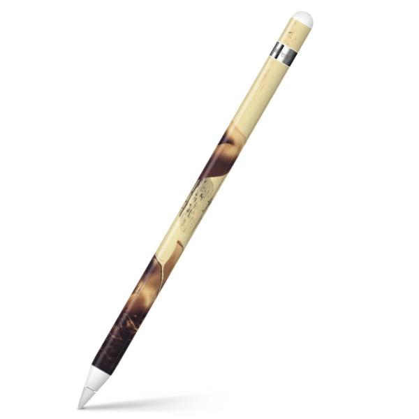 Apple Pencil pXLV[ AbvyV iPad Pro ApplePen Jo[ tB XebJ[ ی  ʐ^@l@ā@^C 008466