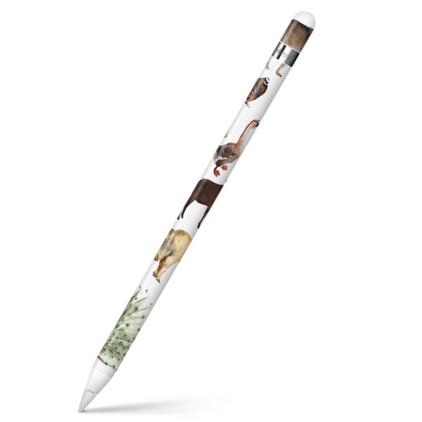 Apple Pencil pXLV[ AbvyV iPad Pro ApplePen Jo[ tB XebJ[ ی  ʐ^@@qE@F 008845