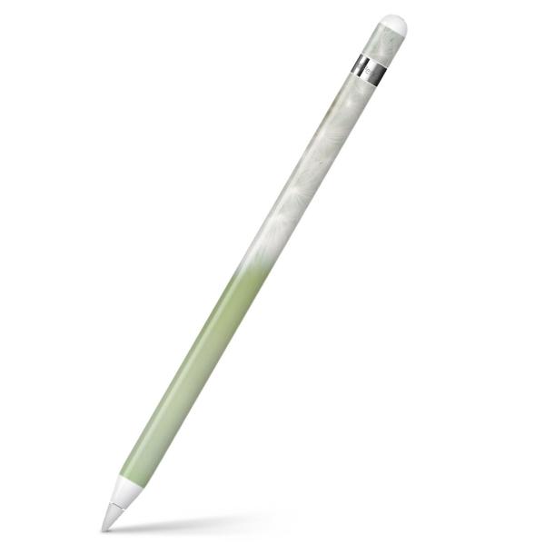 Apple Pencil pXLV[ AbvyV iPad Pro ApplePen Jo[ tB XebJ[ ی  ʐ^@ۂہ@ԁ@t[ 008884