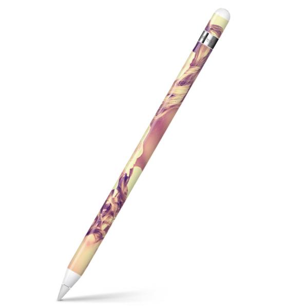 Apple Pencil pXLV[ AbvyV iPad Pro ApplePen Jo[ tB XebJ[ ی  ʐ^@ԁ@t[@l 008918