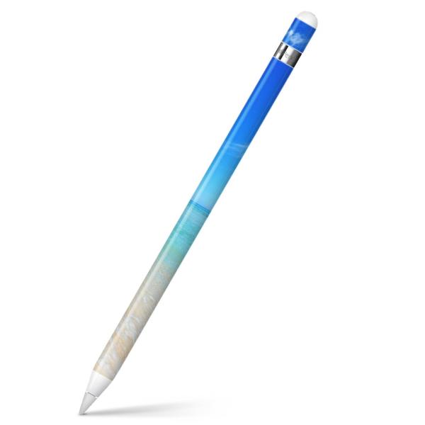 Apple Pencil pXLV[ AbvyV iPad Pro ApplePen Jo[ tB XebJ[ ی  i@C@@ʐ^ 009637