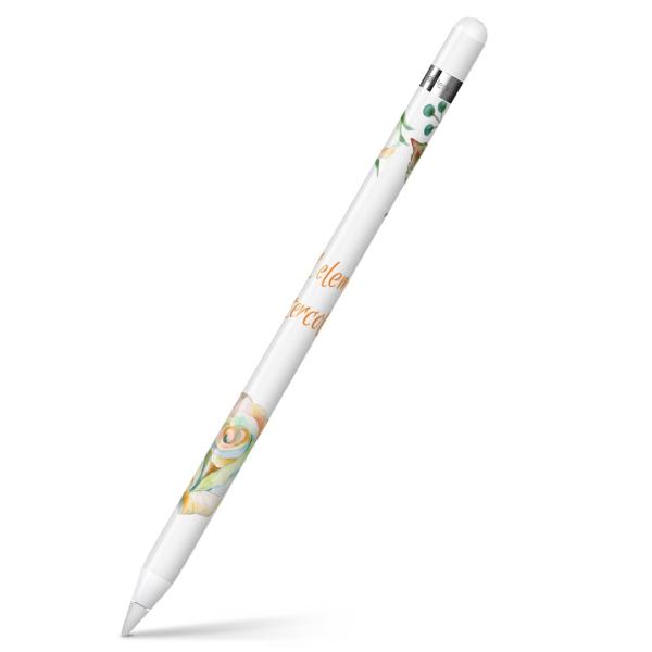 Apple Pencil pXLV[ AbvyV iPad Pro ApplePen Jo[ tB XebJ[ ی  t[@p@ 009646